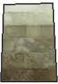 Shades of Olive